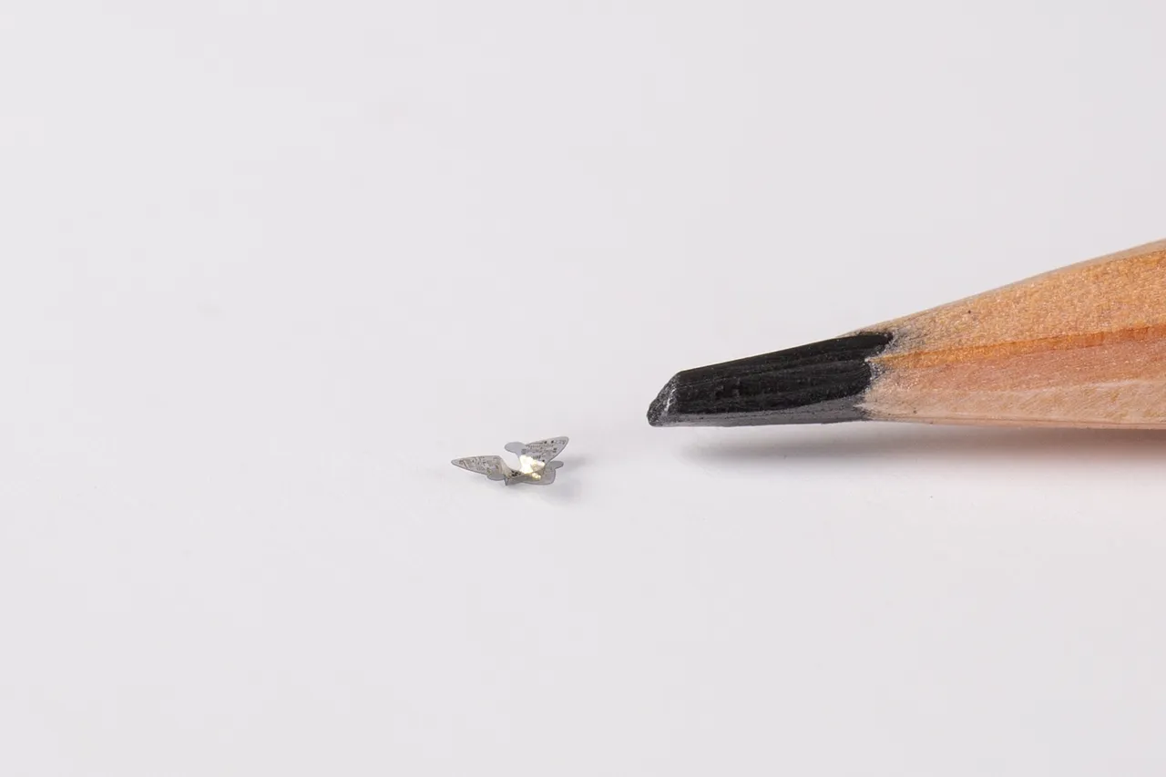 Microflier.png