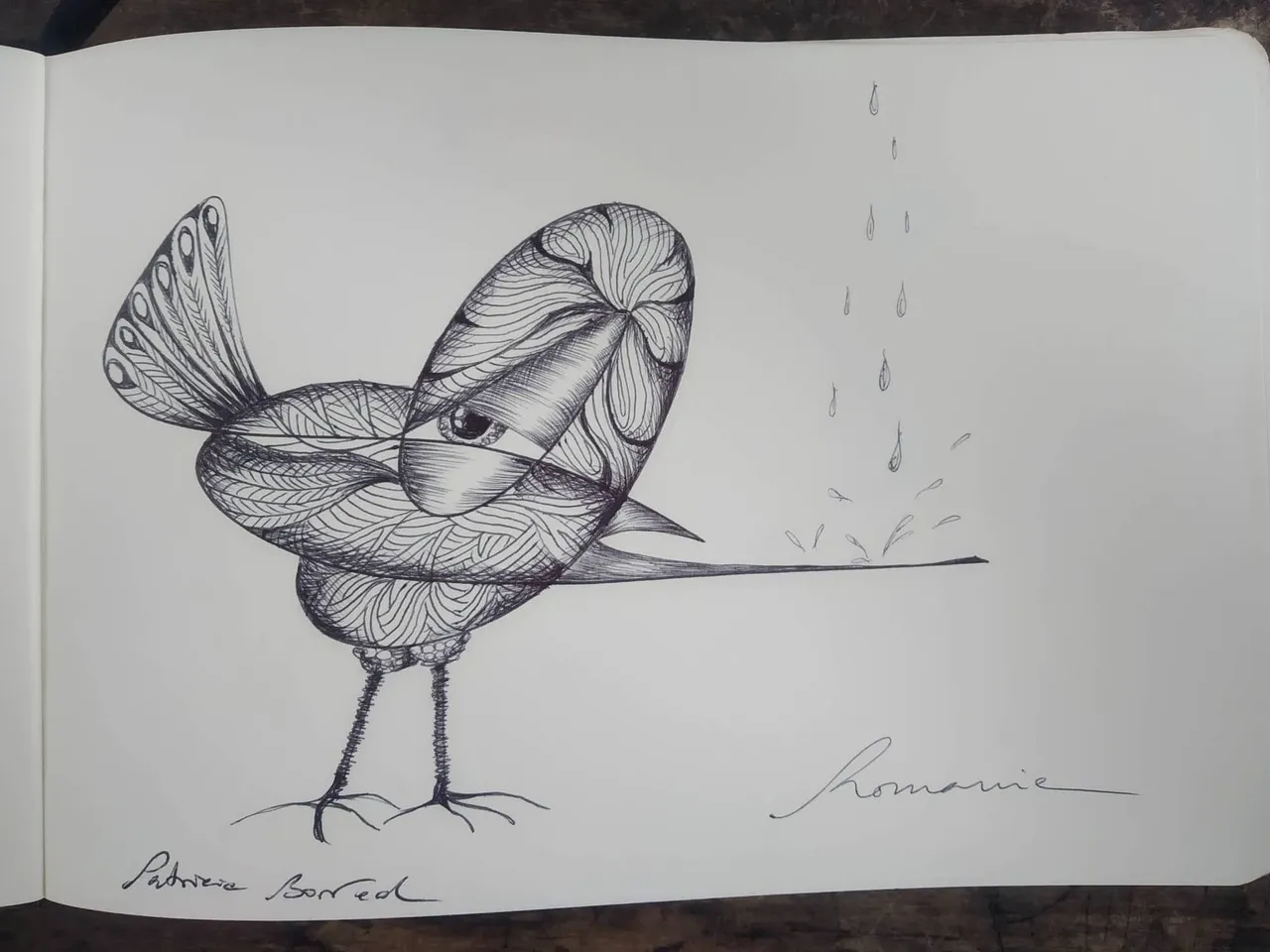 dibujo286B.jpg