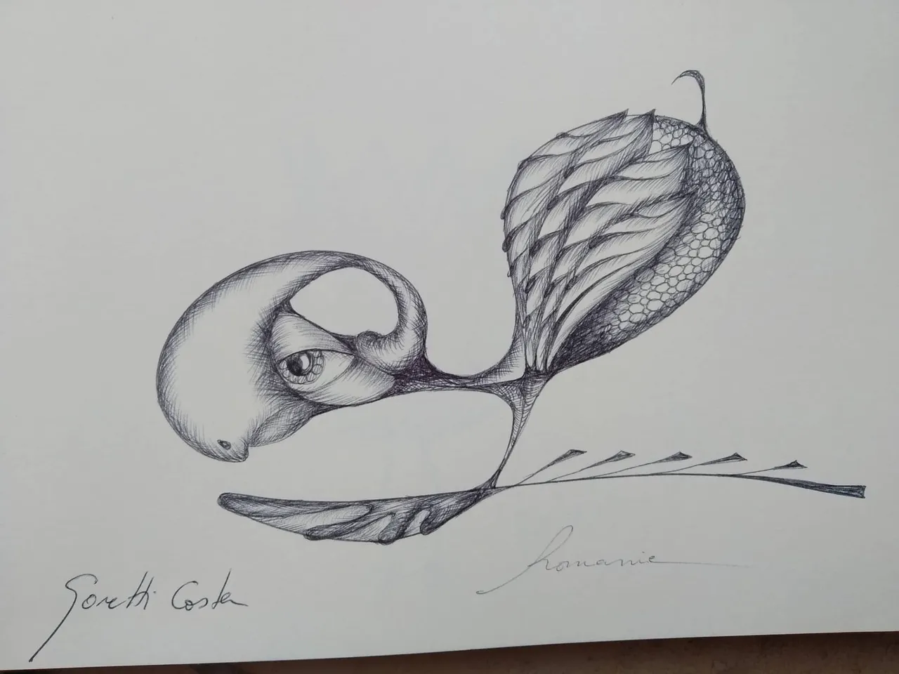 dibujo448B.jpg