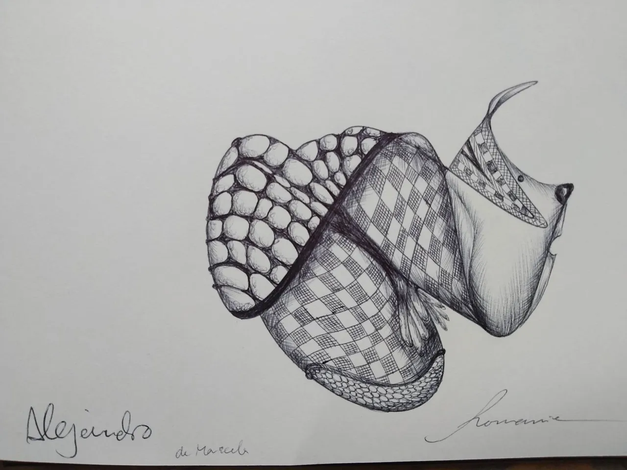 dibujo585B.jpg