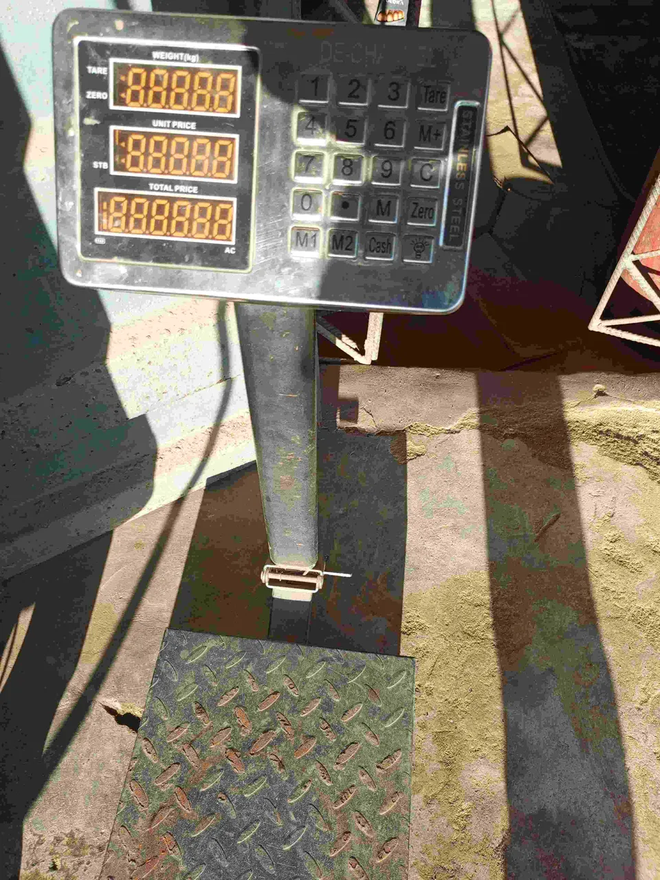 1000008804.jpg