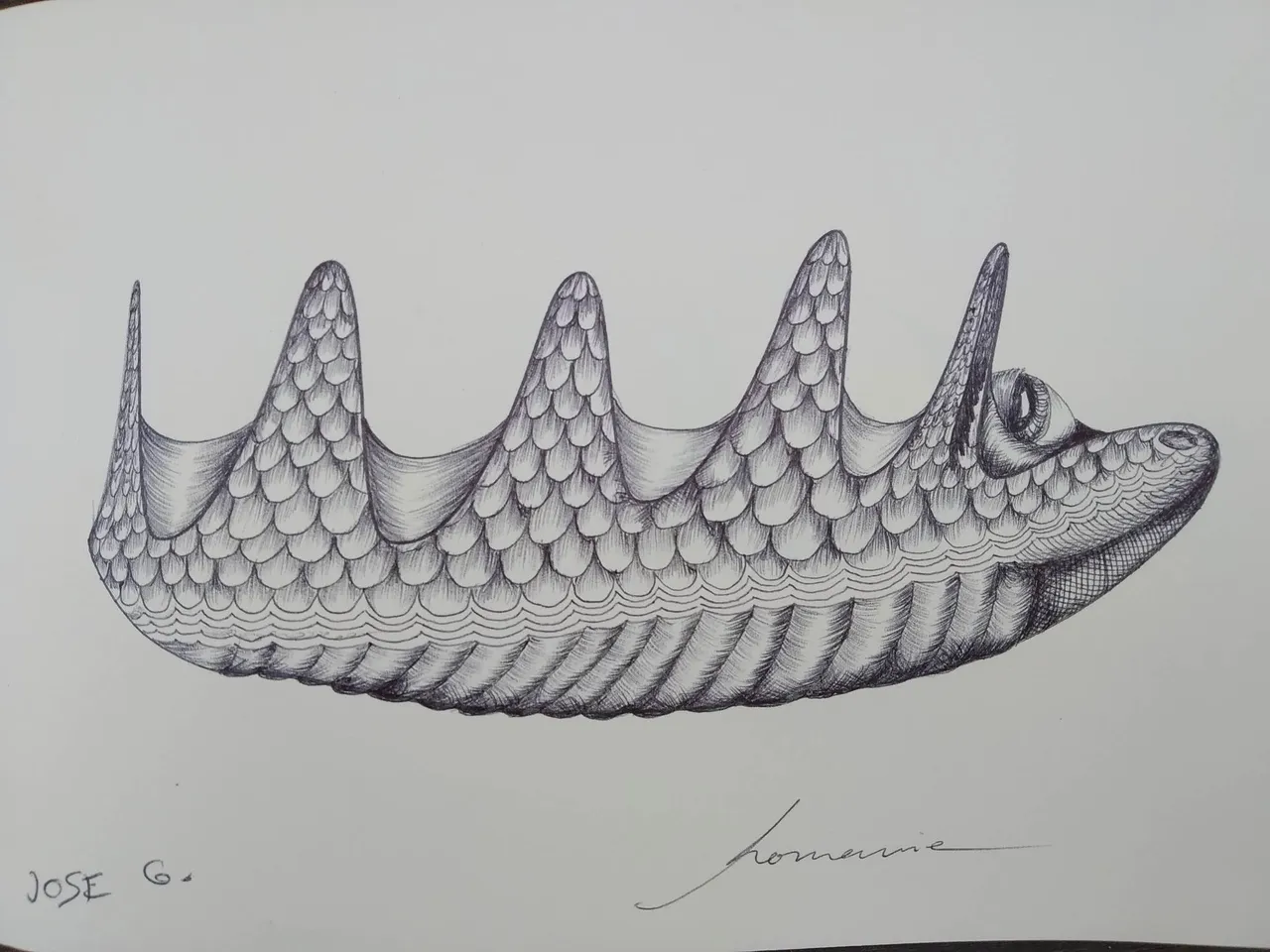 dibujo575B.jpg