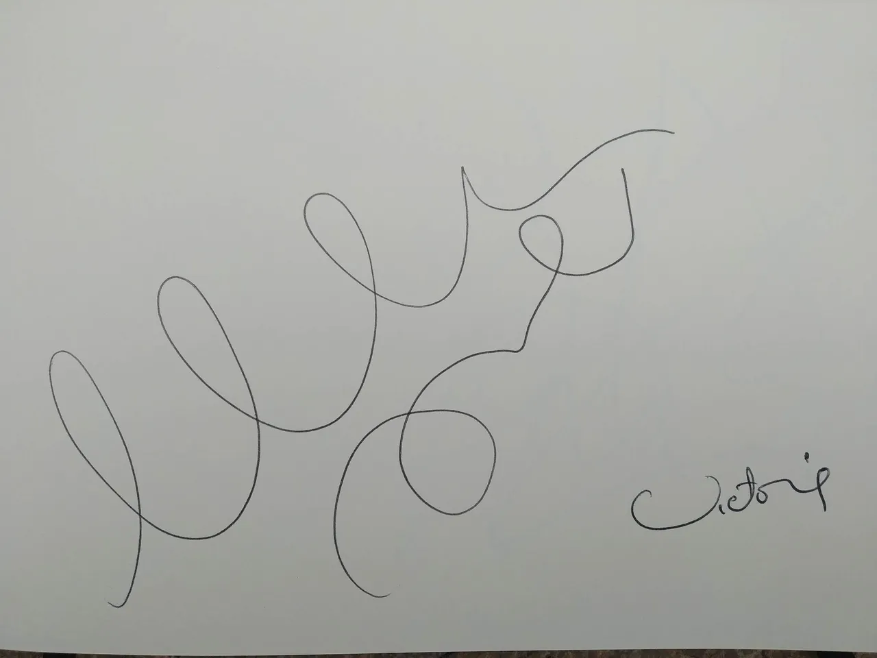 dibujo519A.jpg