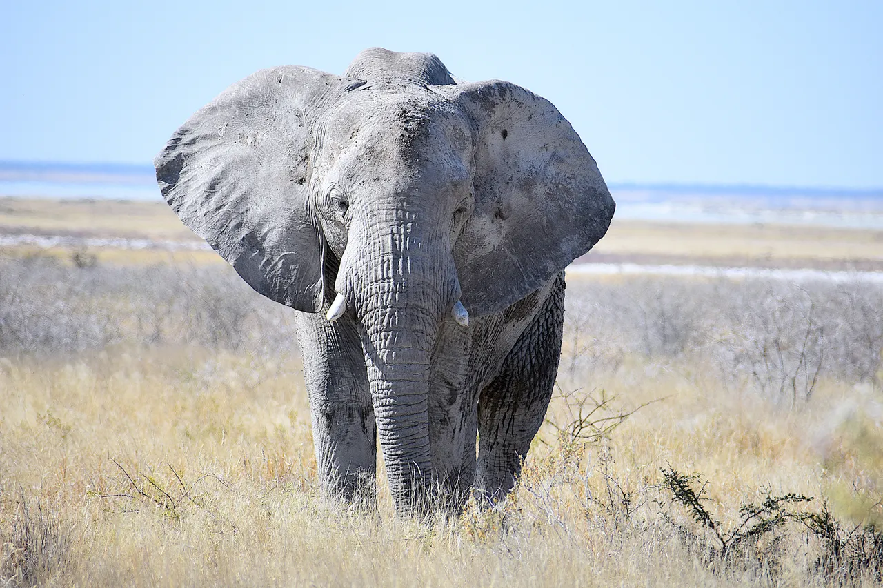 Namibie-93.jpg