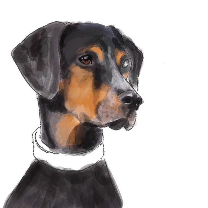 Acryl_Hund.gif