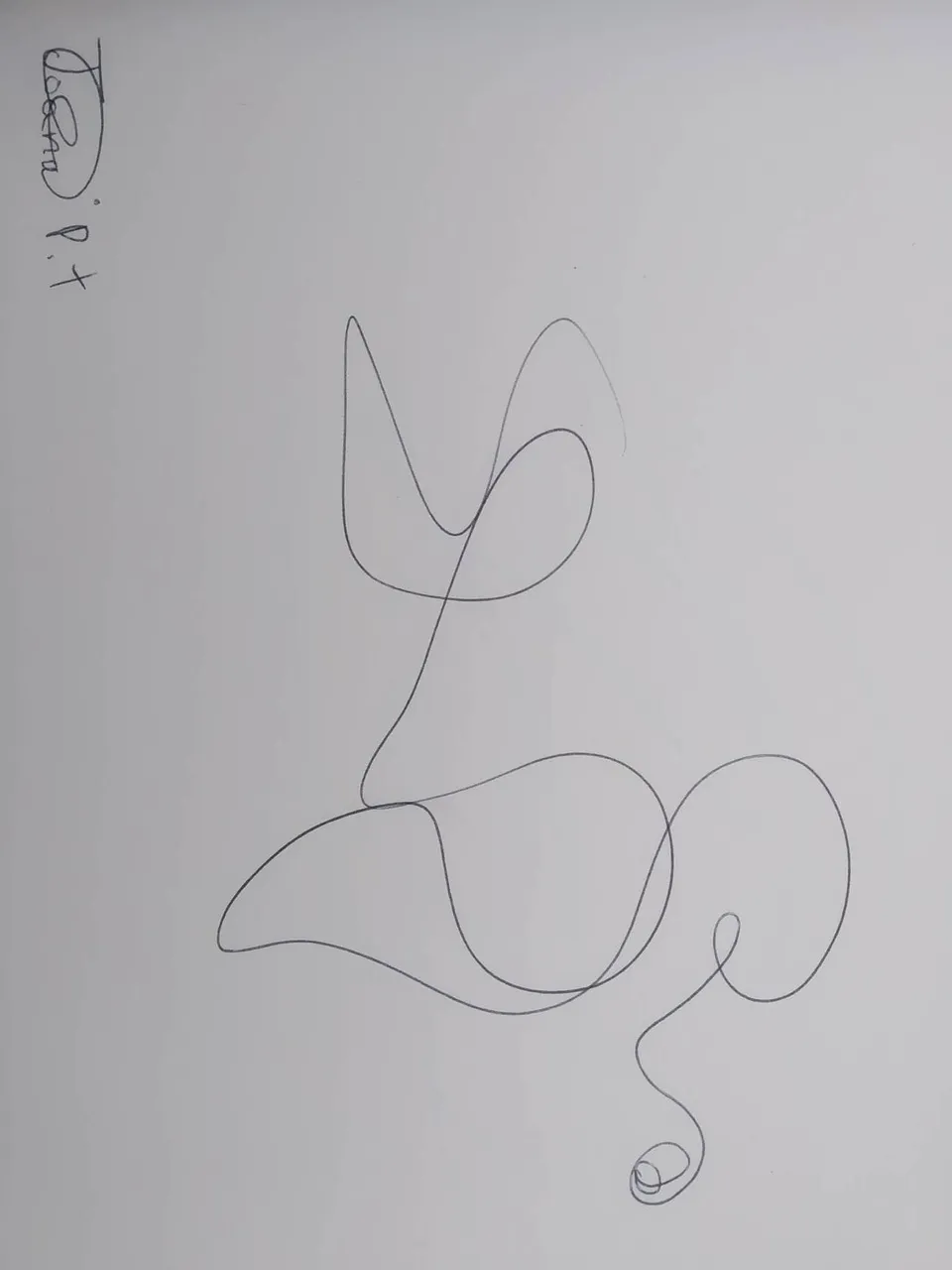 dibujo489A.jpg