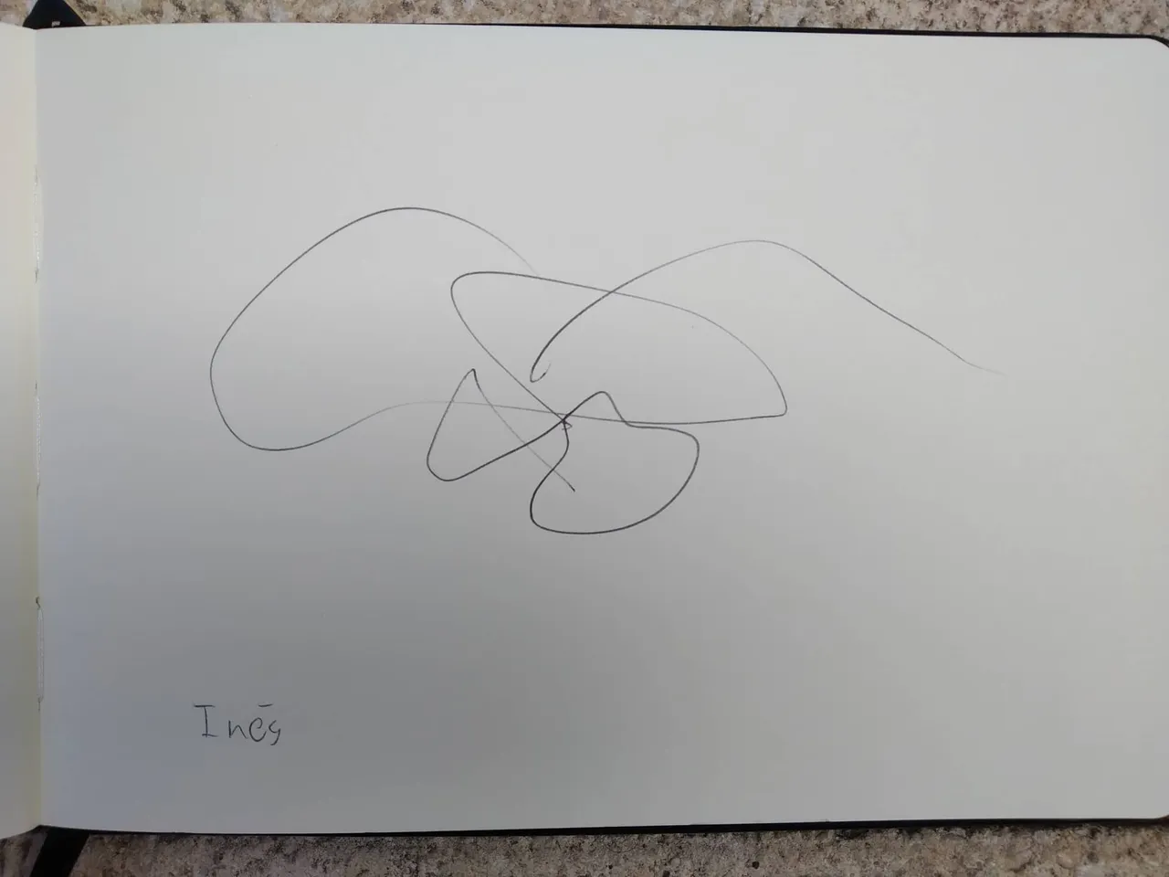 dibujo344A.jpg