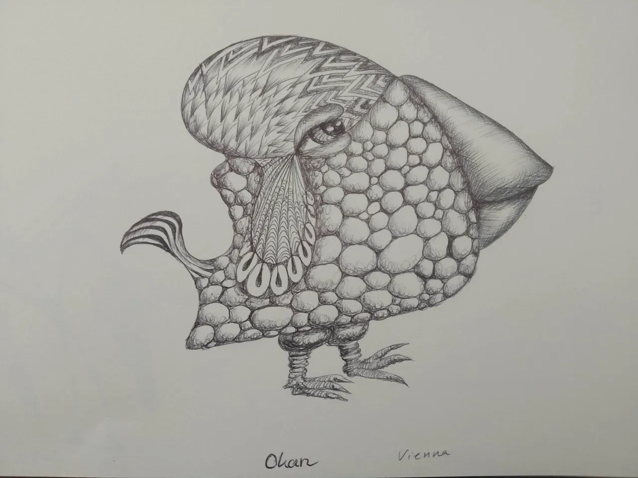 dibujo568B.jpg