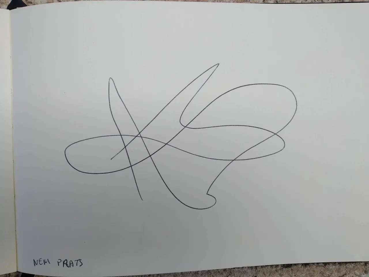 dibujo333A.jpg