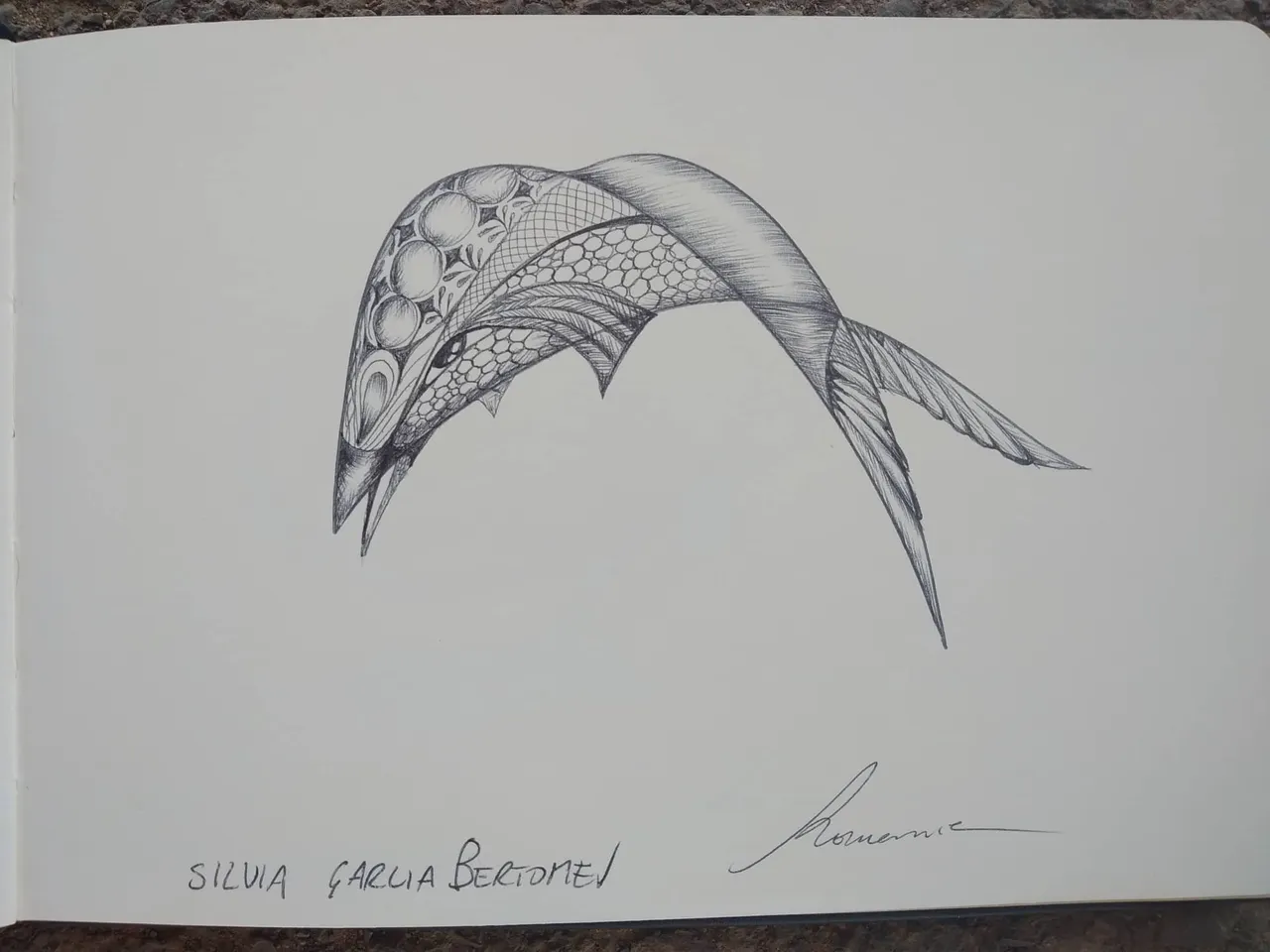dibujo337B.jpg