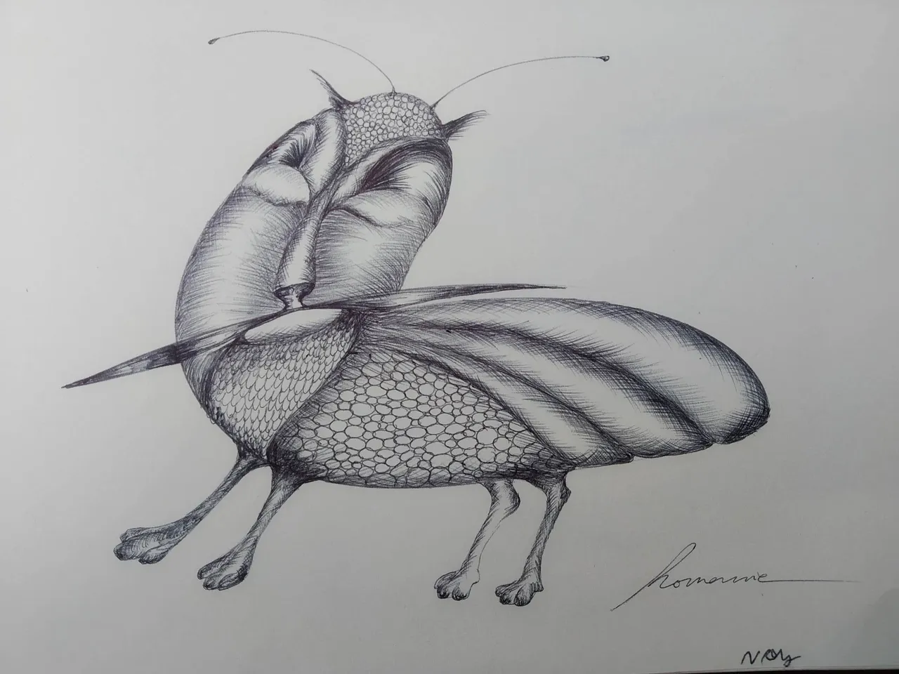 dibujo573B.jpg