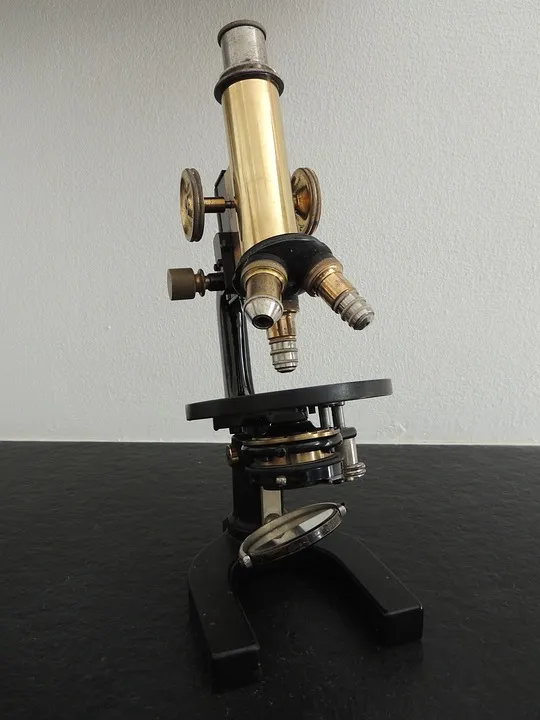 microscope.jpg