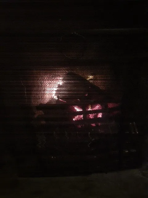 Image-7470.jpg