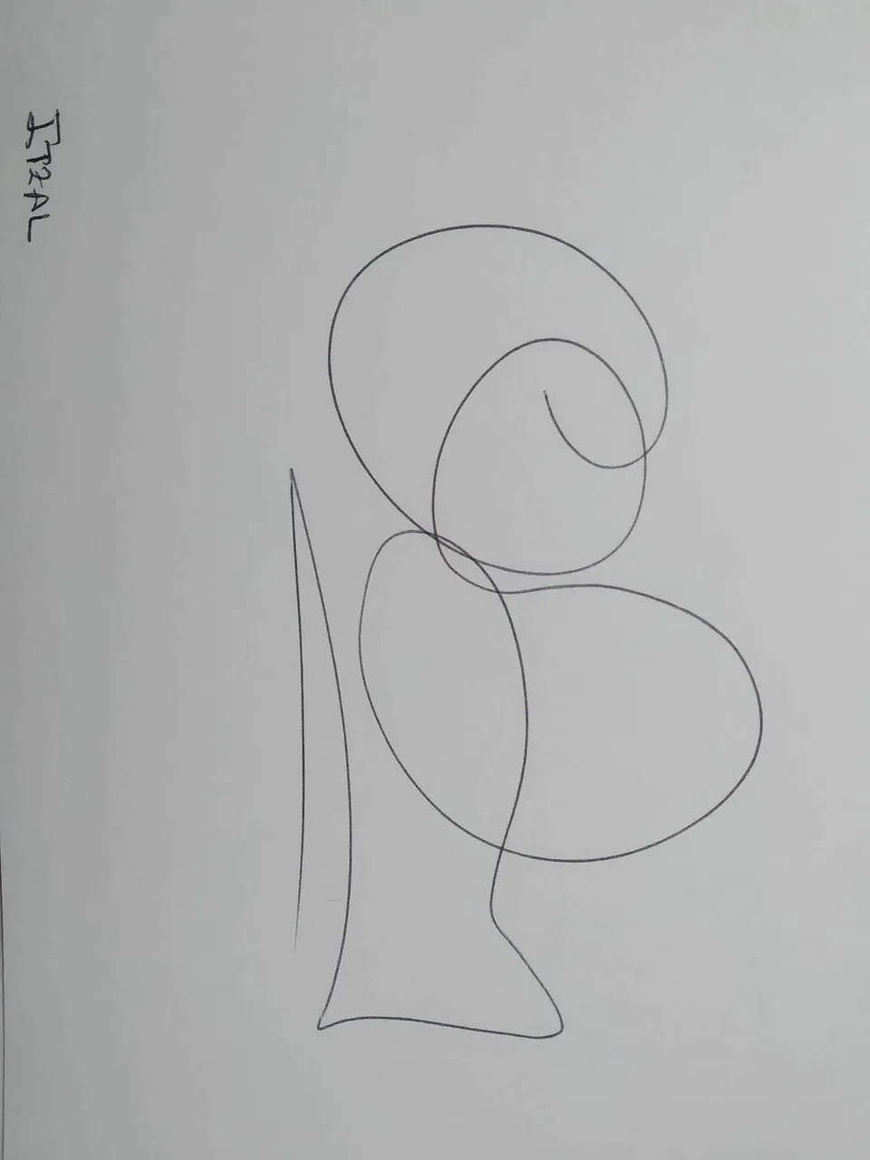 dibujo458A.jpg