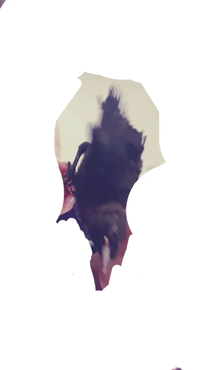 1000018919.jpg