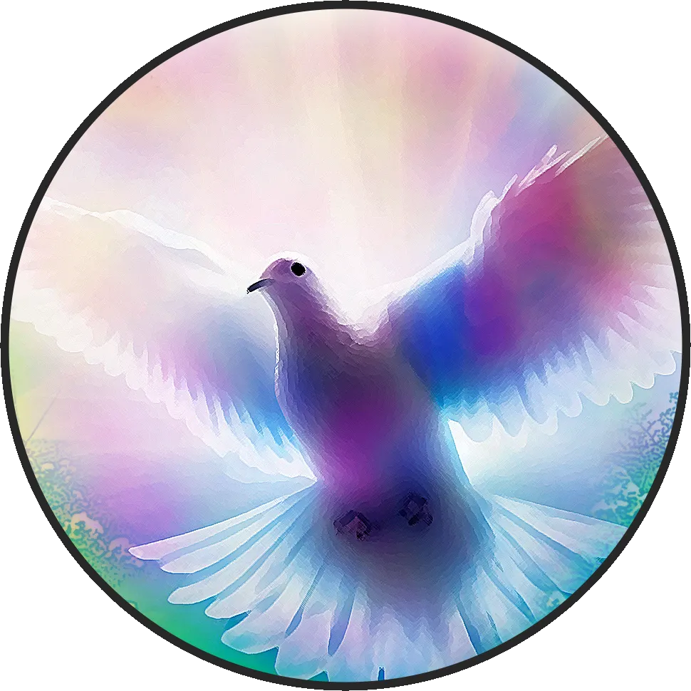 1000235136.png