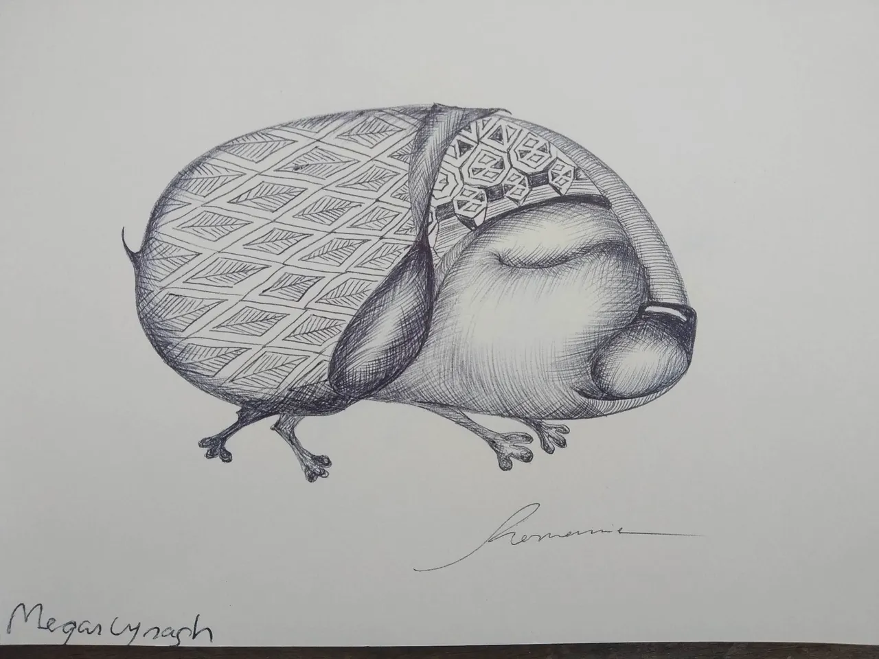 dibujo544B.jpg