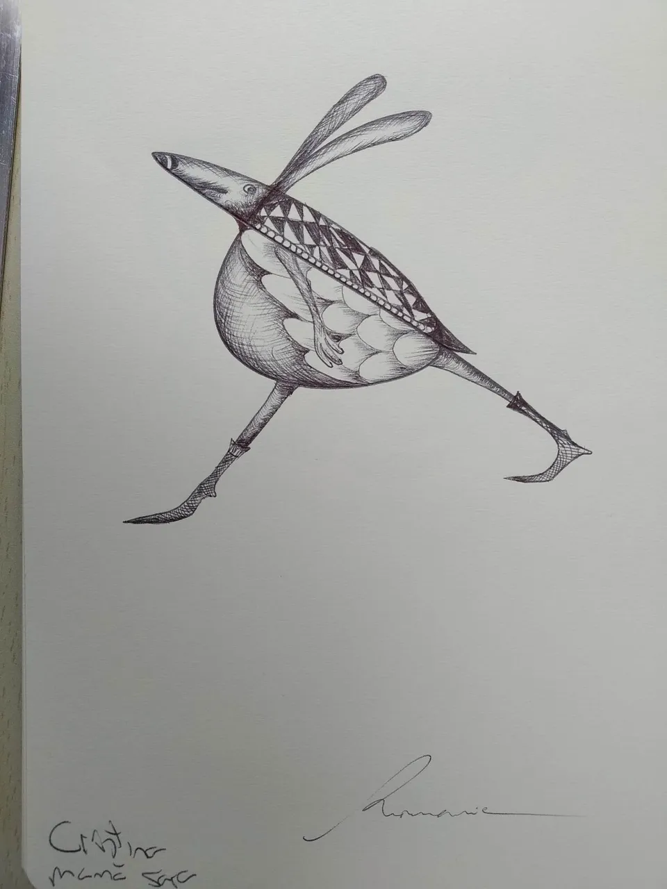 dibujo633B.jpg