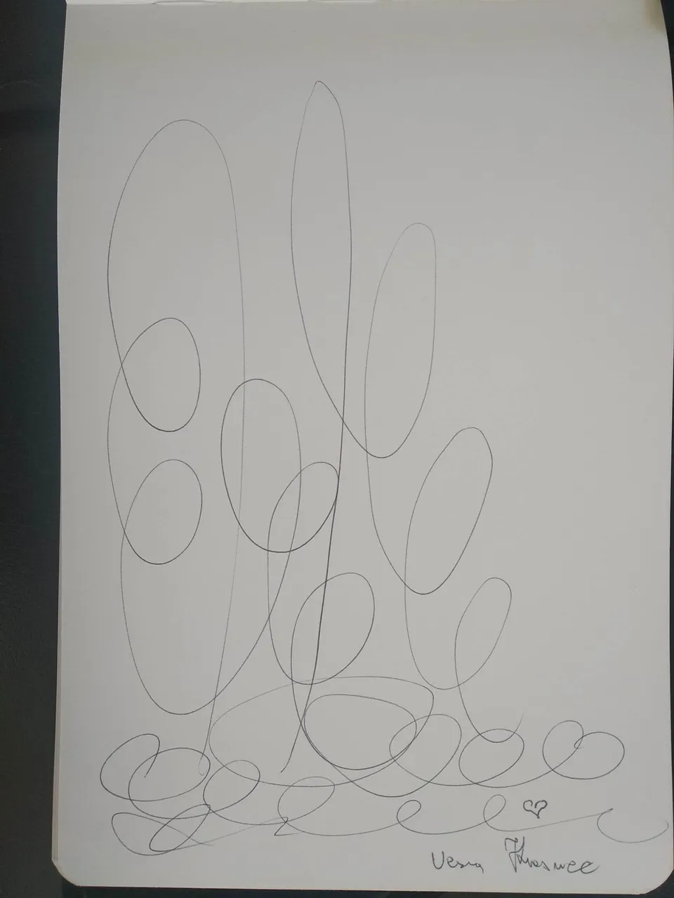 dibujo553A.jpg