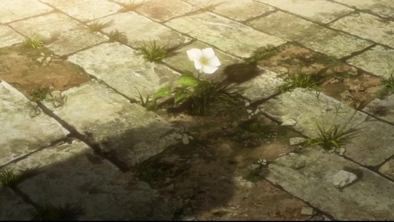 1000142557.png