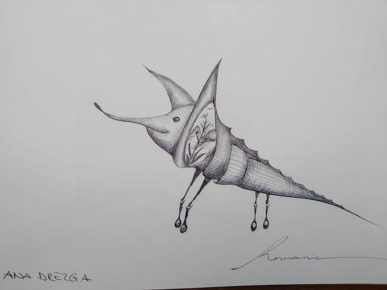 dibujo556B.jpg