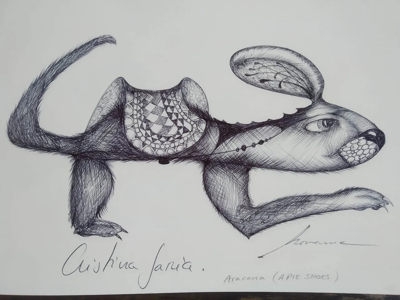 dibujo610B.jpg