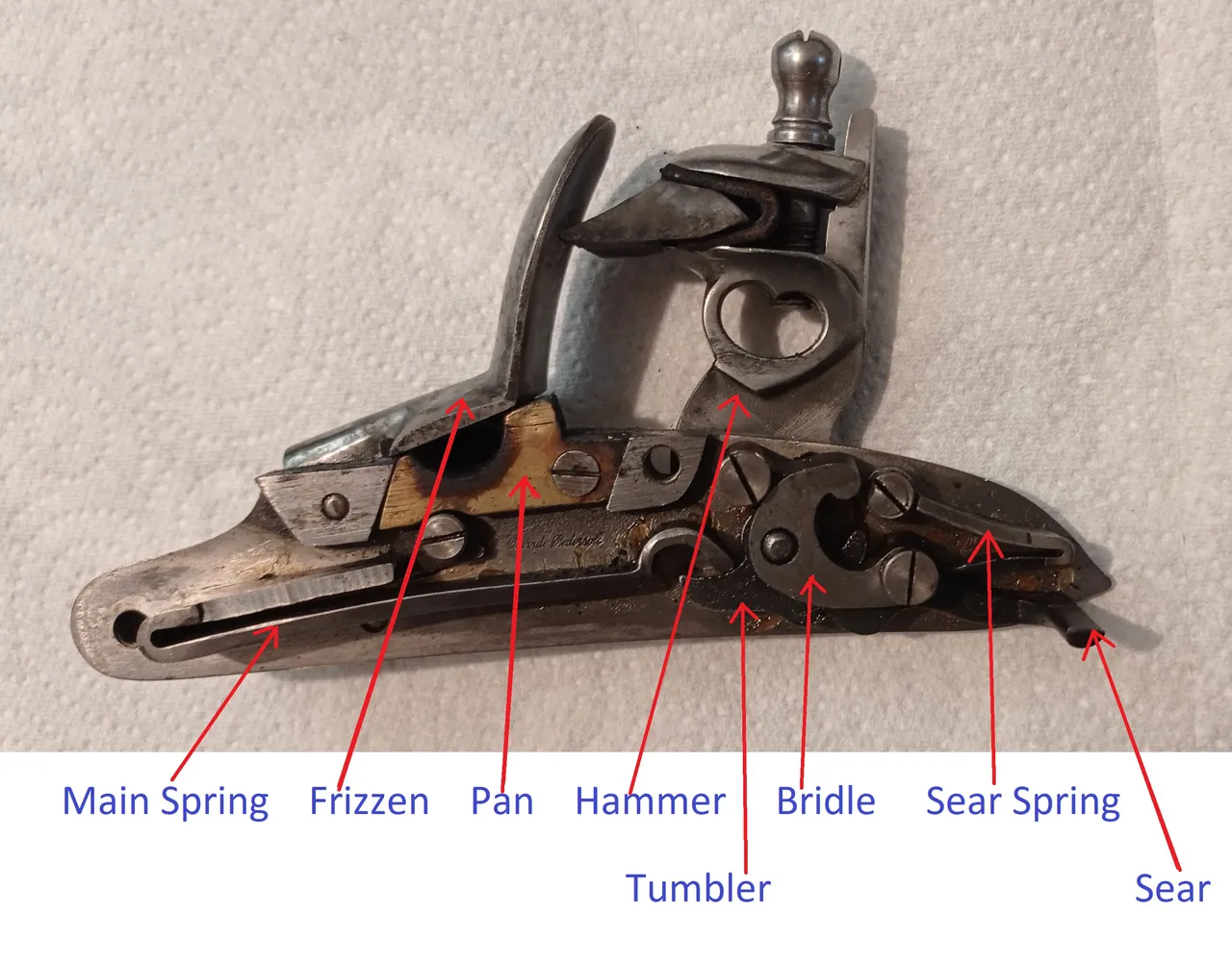 Musket 3.jpg