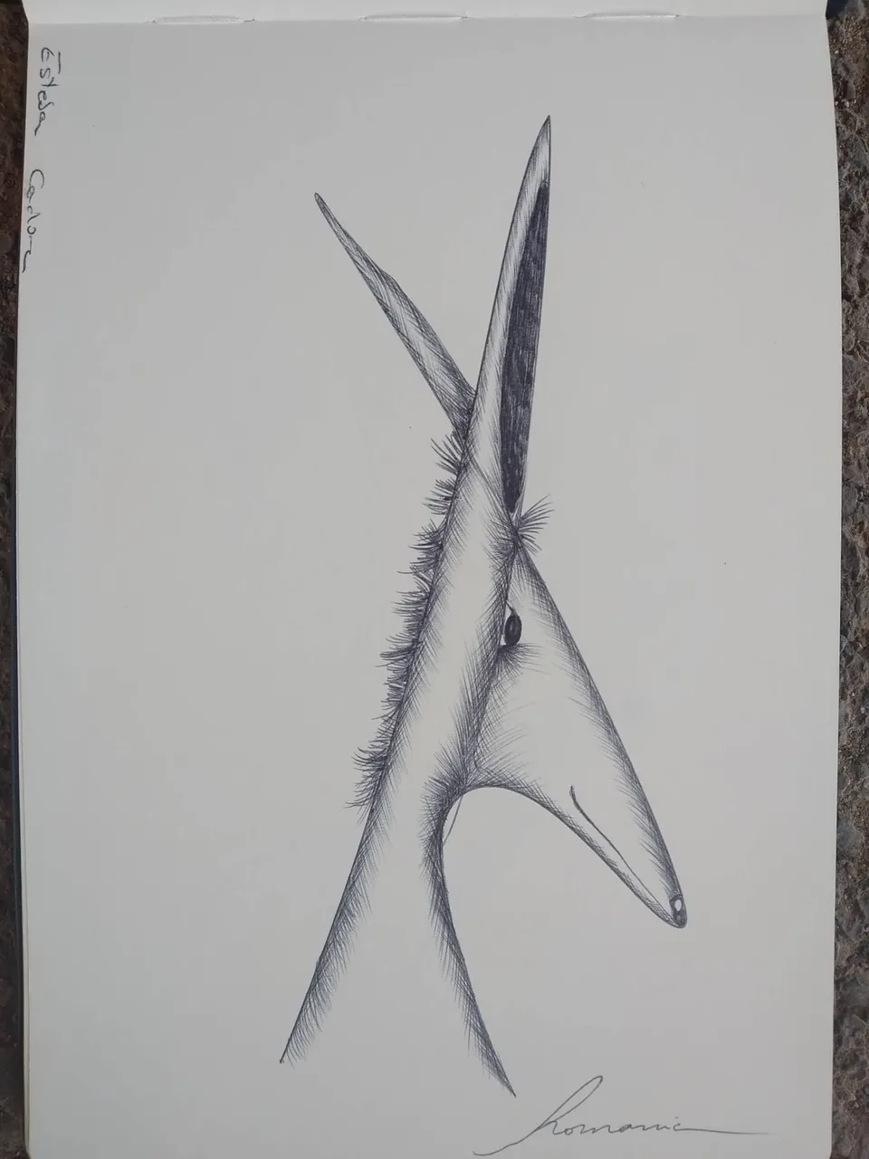 dibujo336B.jpg