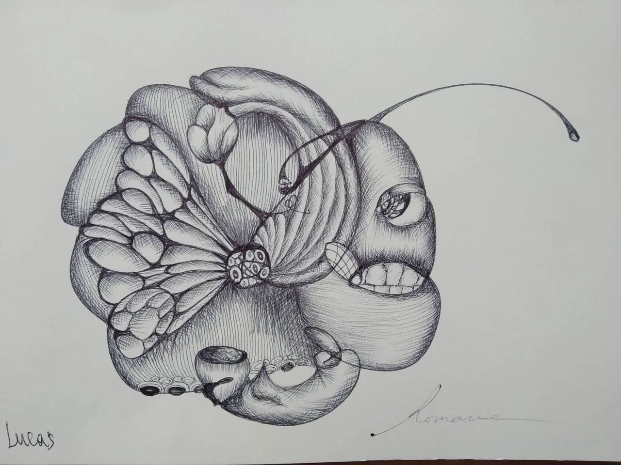 dibujo435B.jpg