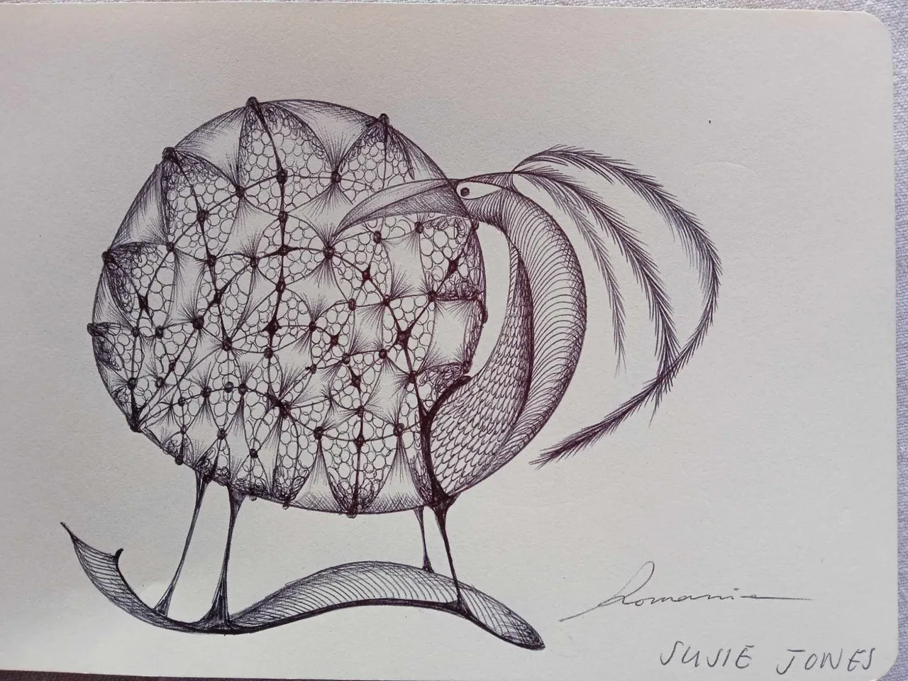 dibujo721B.jpg