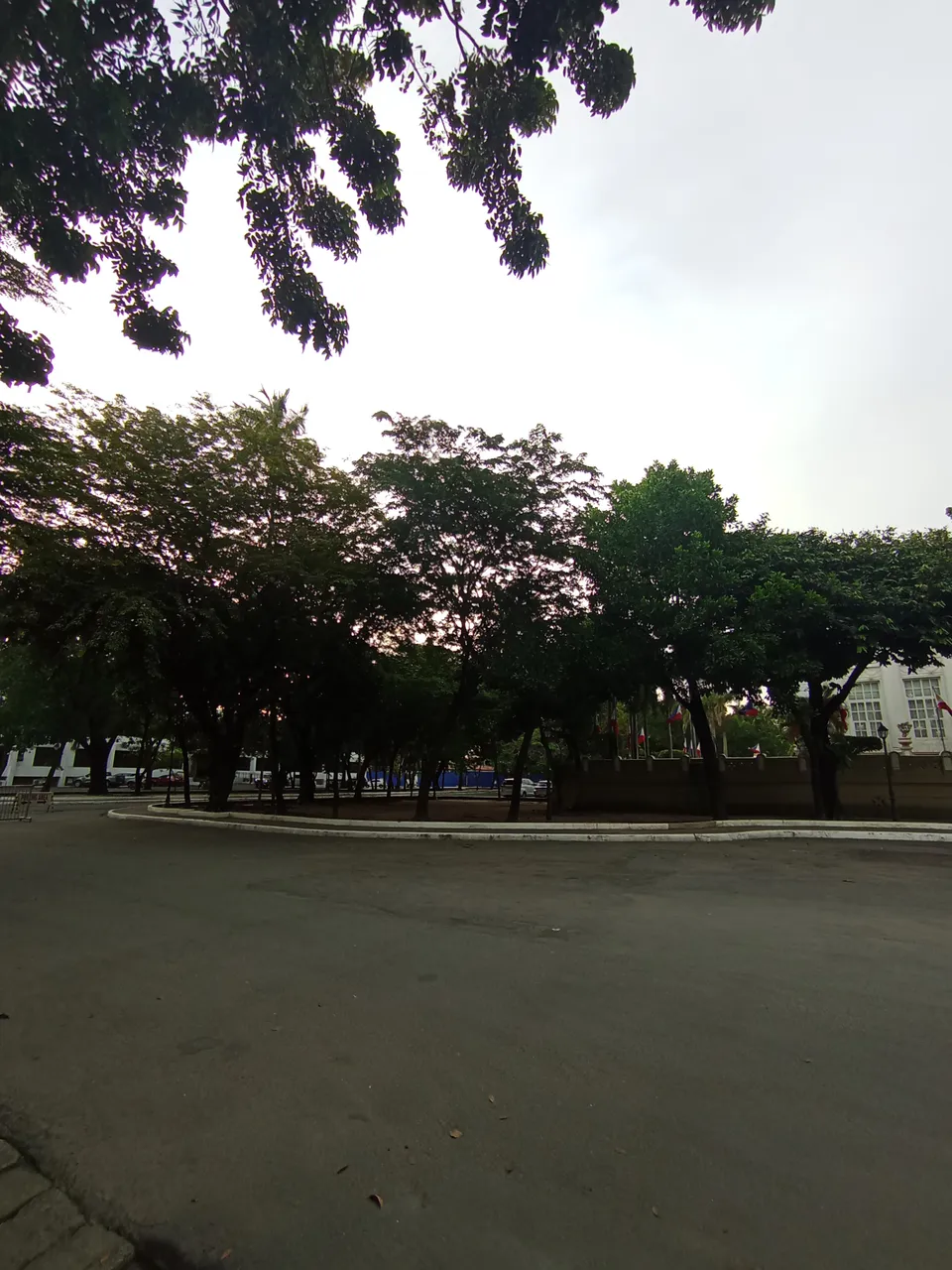 1000022467.jpg