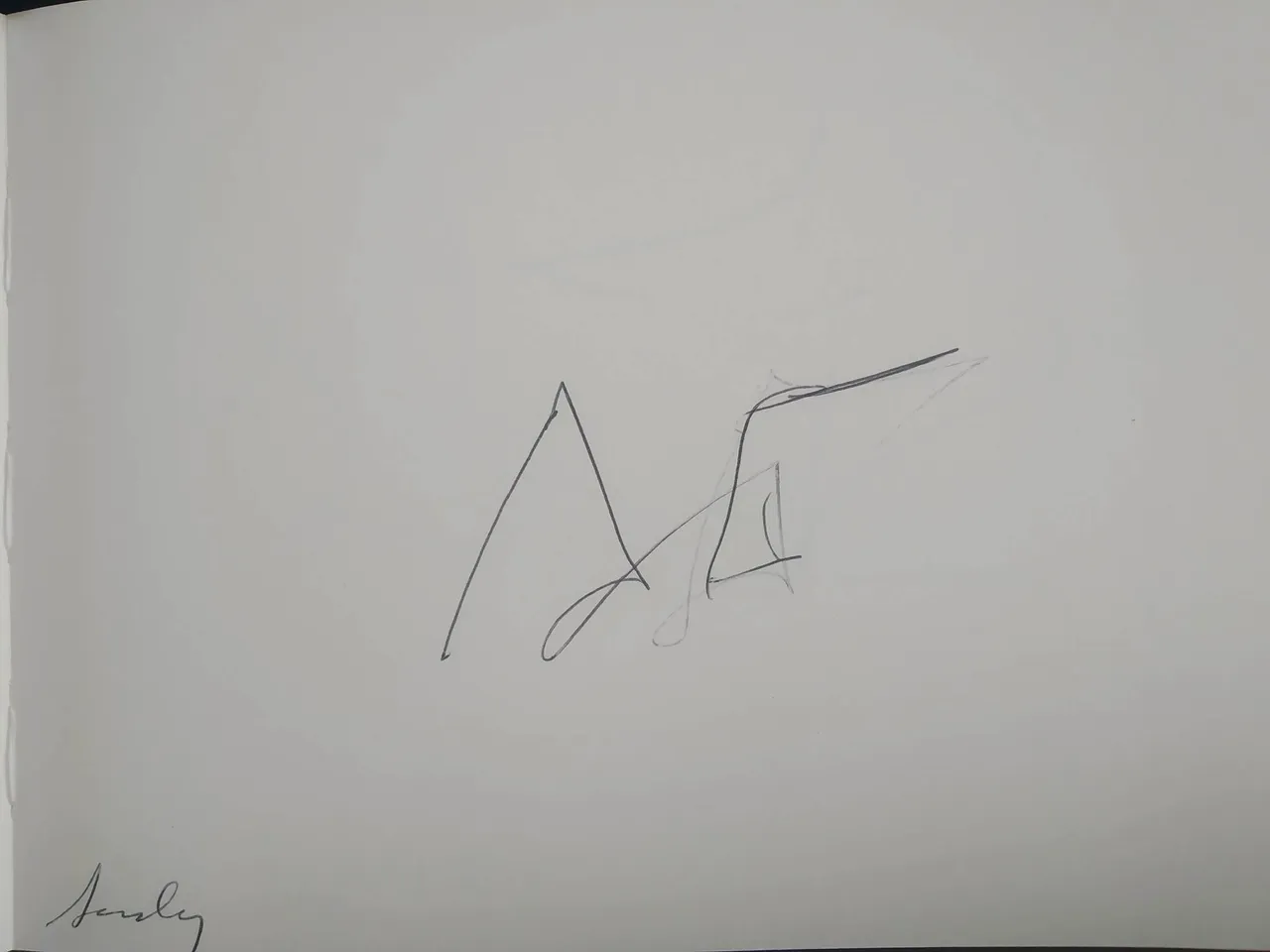 dibujo545A.jpg