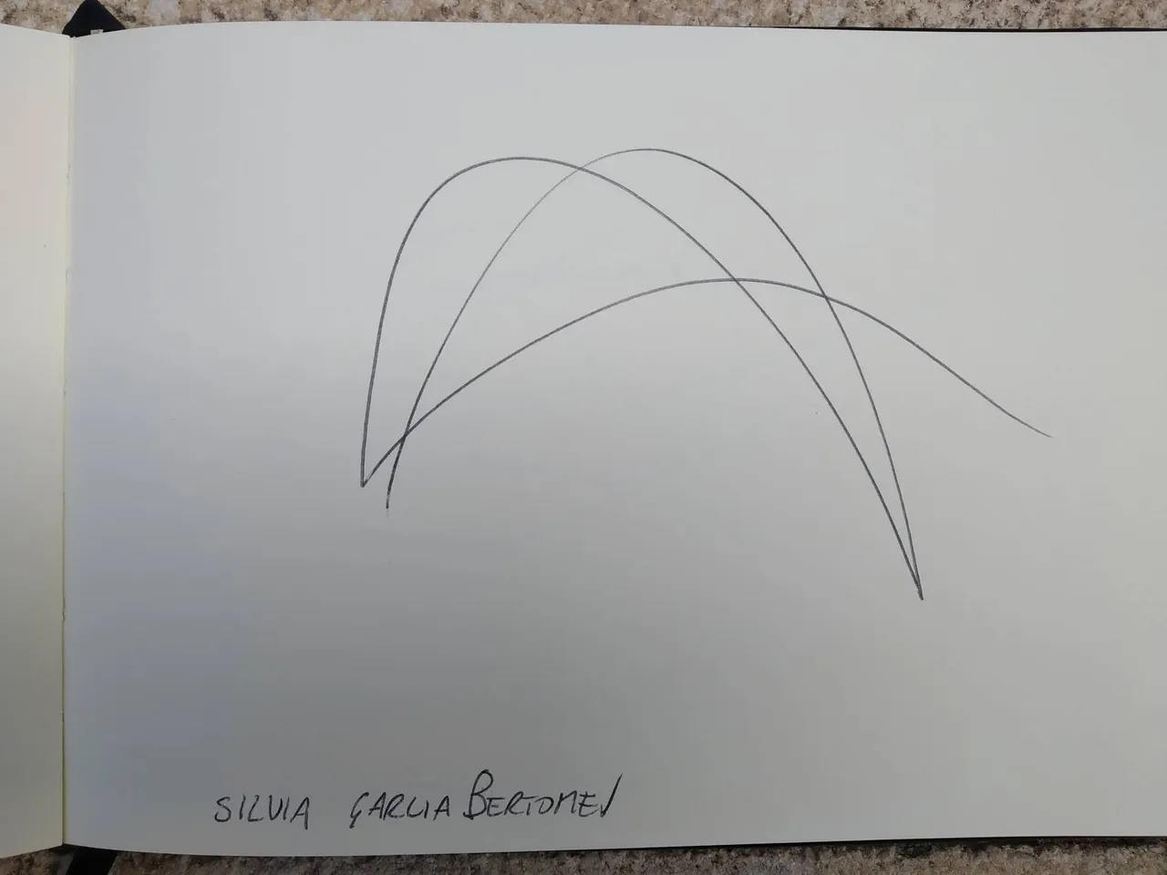dibujo337A.jpg