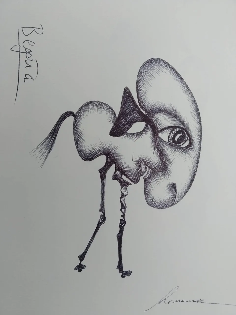 dibujo461B.jpg