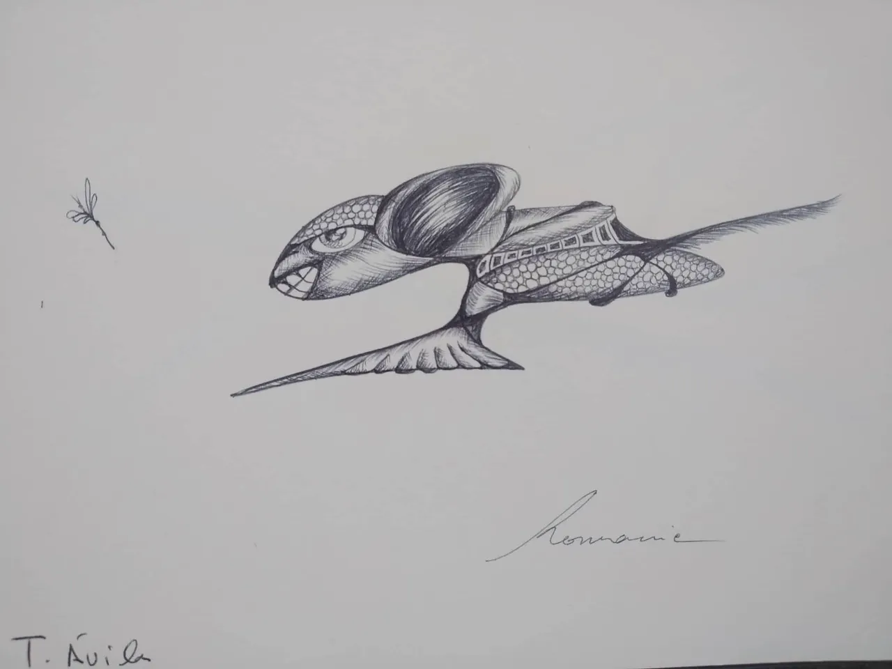 dibujo335B.jpg