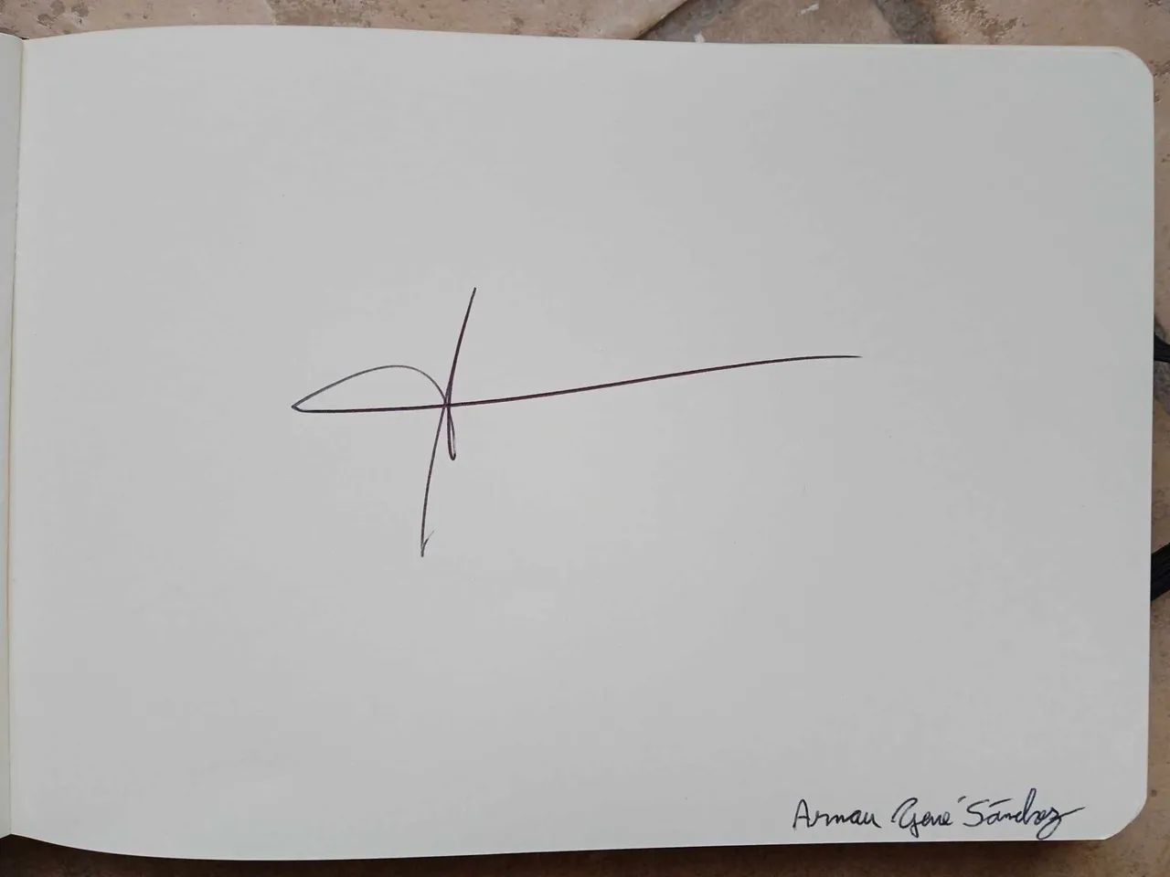 dibujo760A.jpg