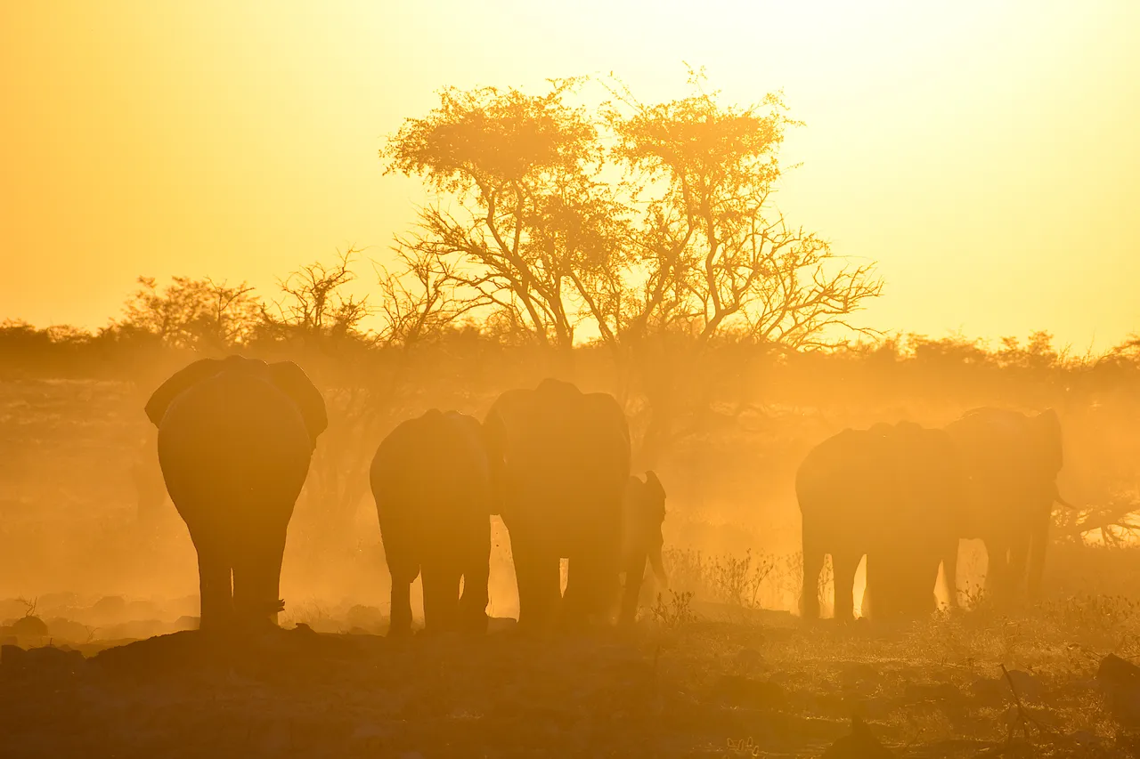 Namibie-84.jpg