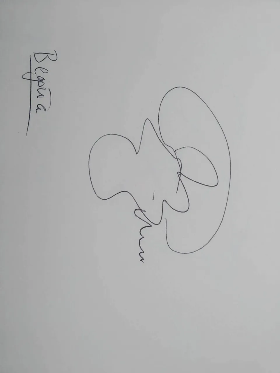 dibujo461A.jpg