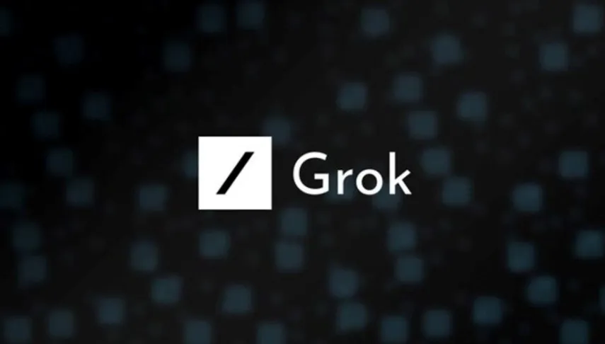 IMG Grok.jpg
