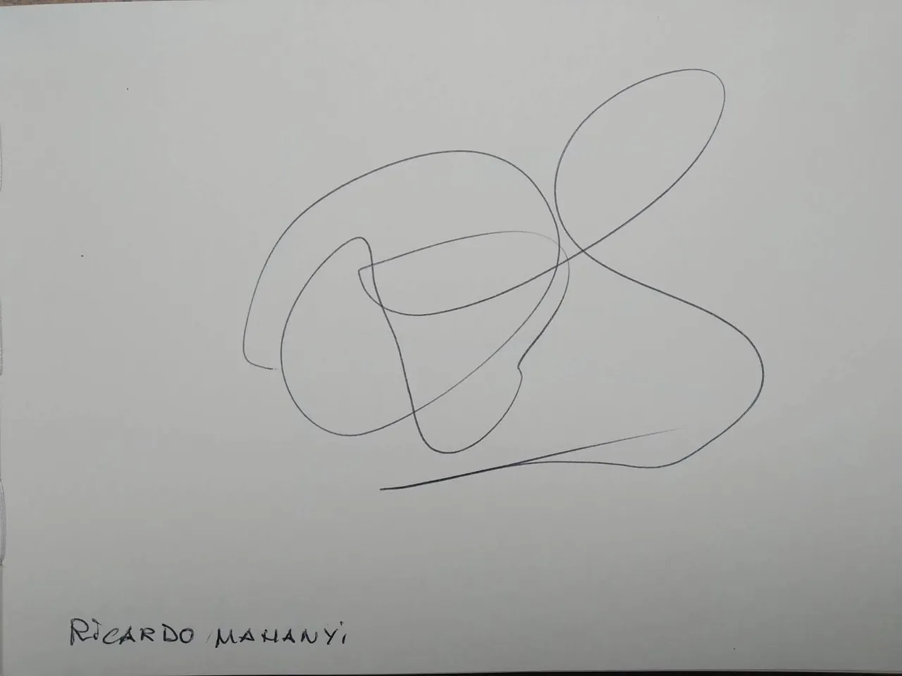 dibujo440A.jpg