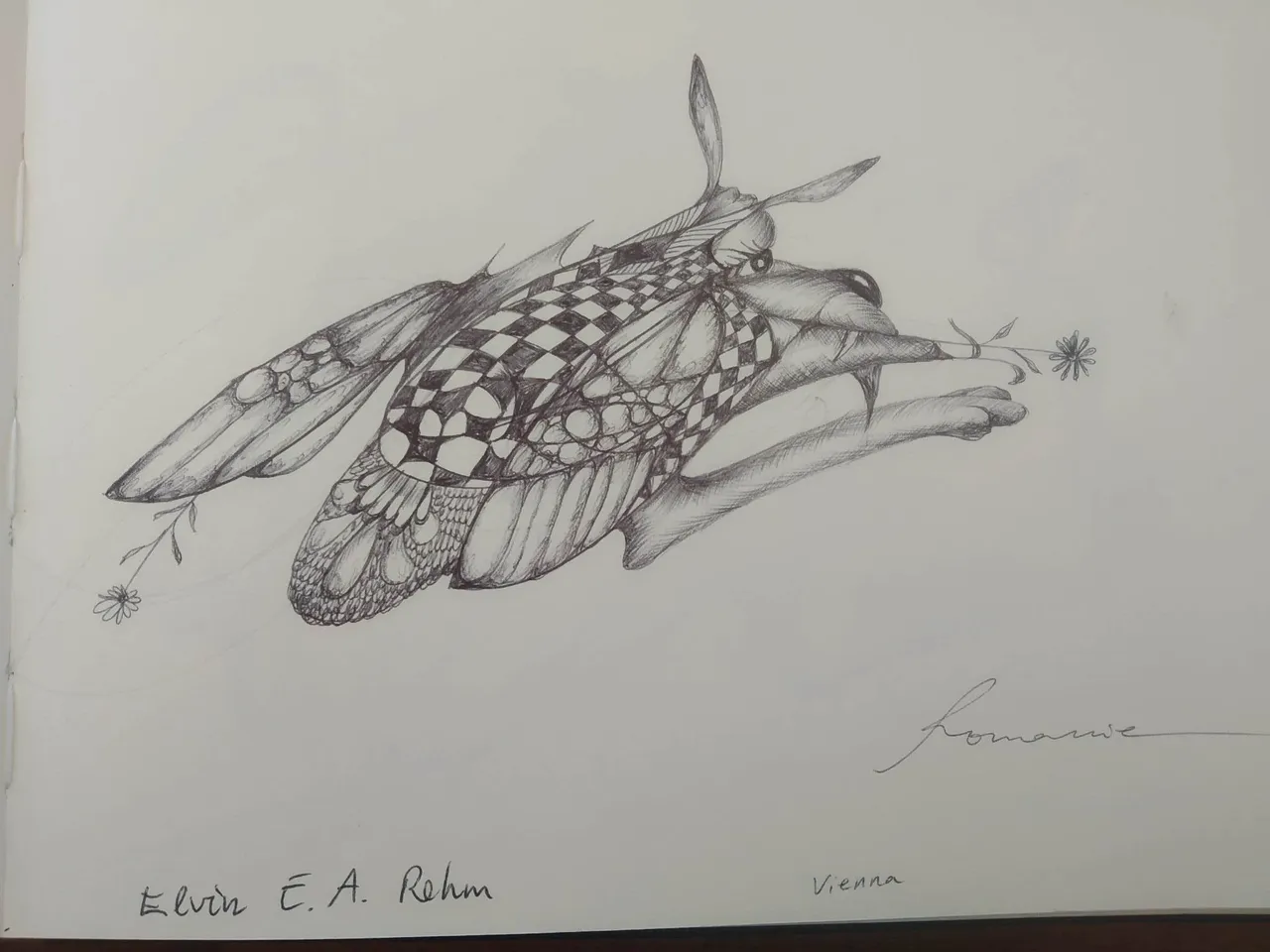 dibujo569B.jpg