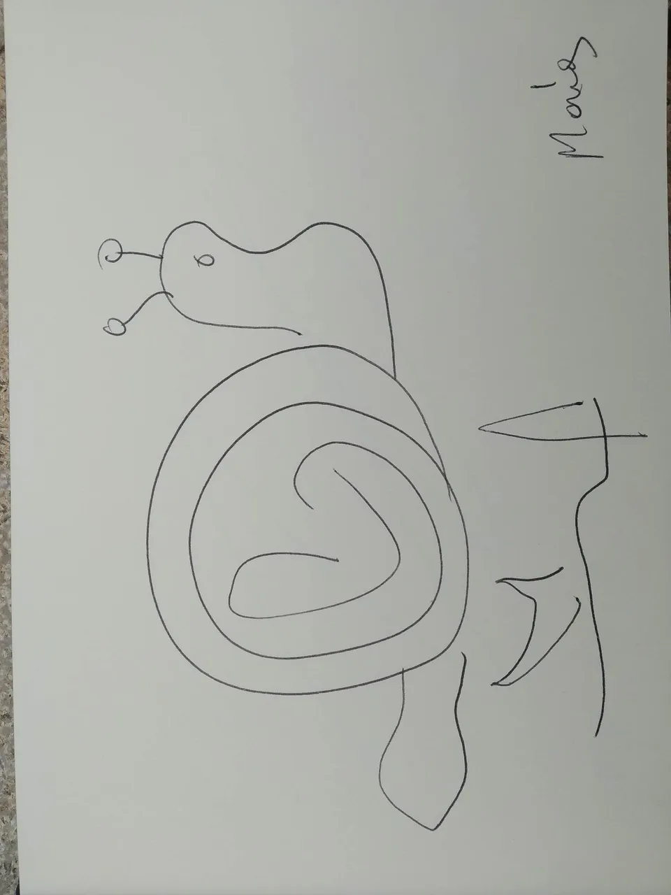 dibujo532A.jpg