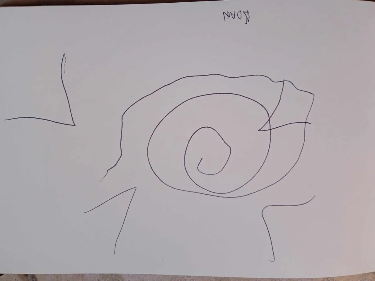 dibujo727a.jpg