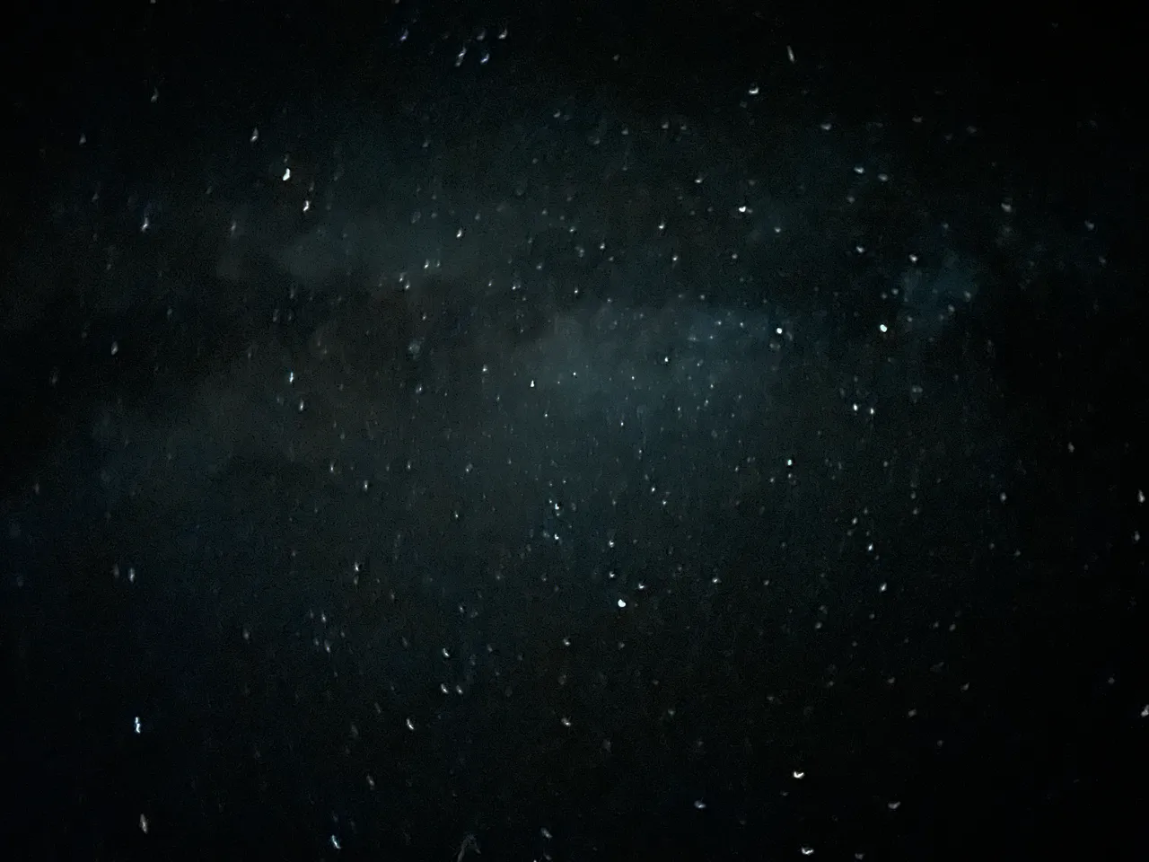 1000194712.jpg