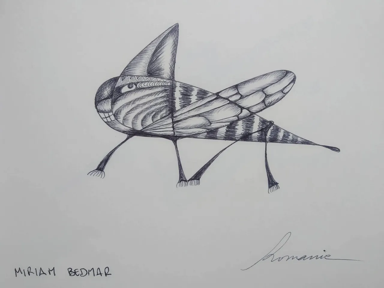 dibujo361B.jpg
