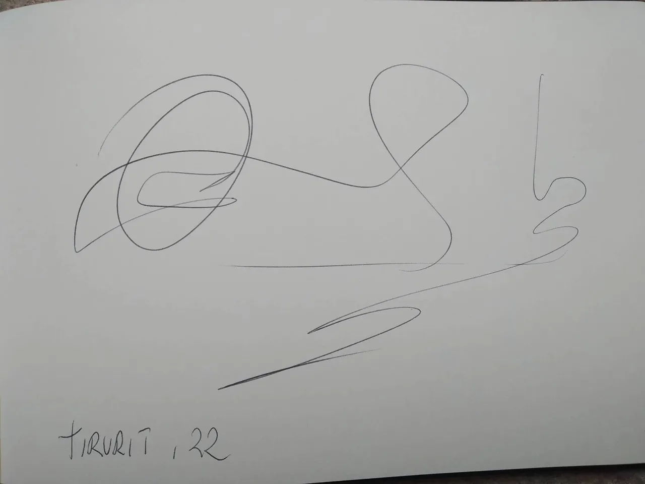 dibujo425A.jpg