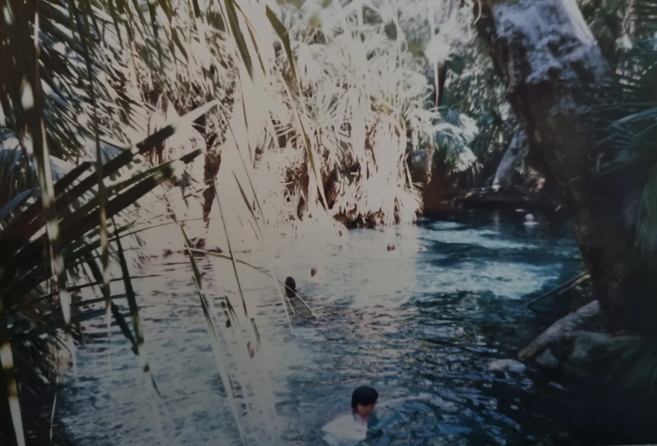 Mataranka Thermal Springs were great too and very relaxing after more driving.