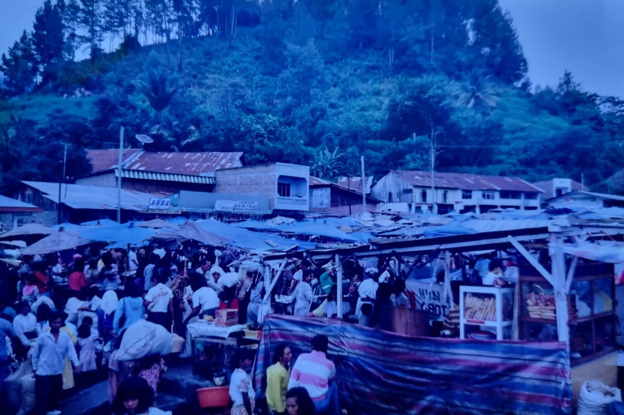 Pradat markets on the edge of Lake Toba.