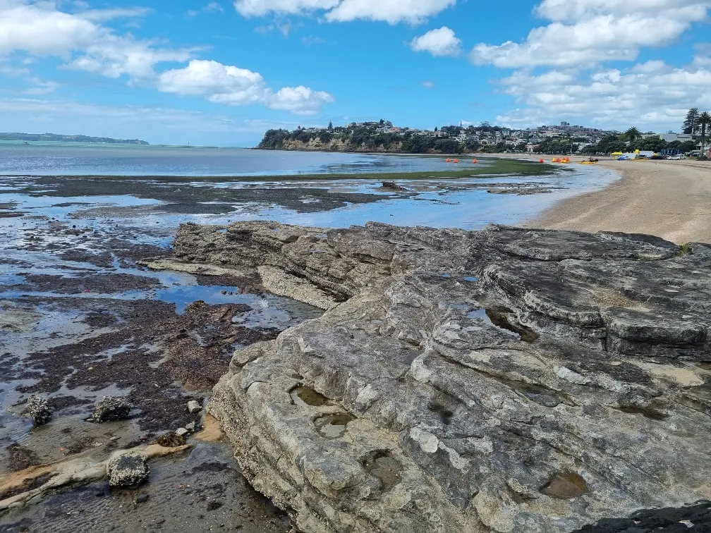 St Heliers Beach