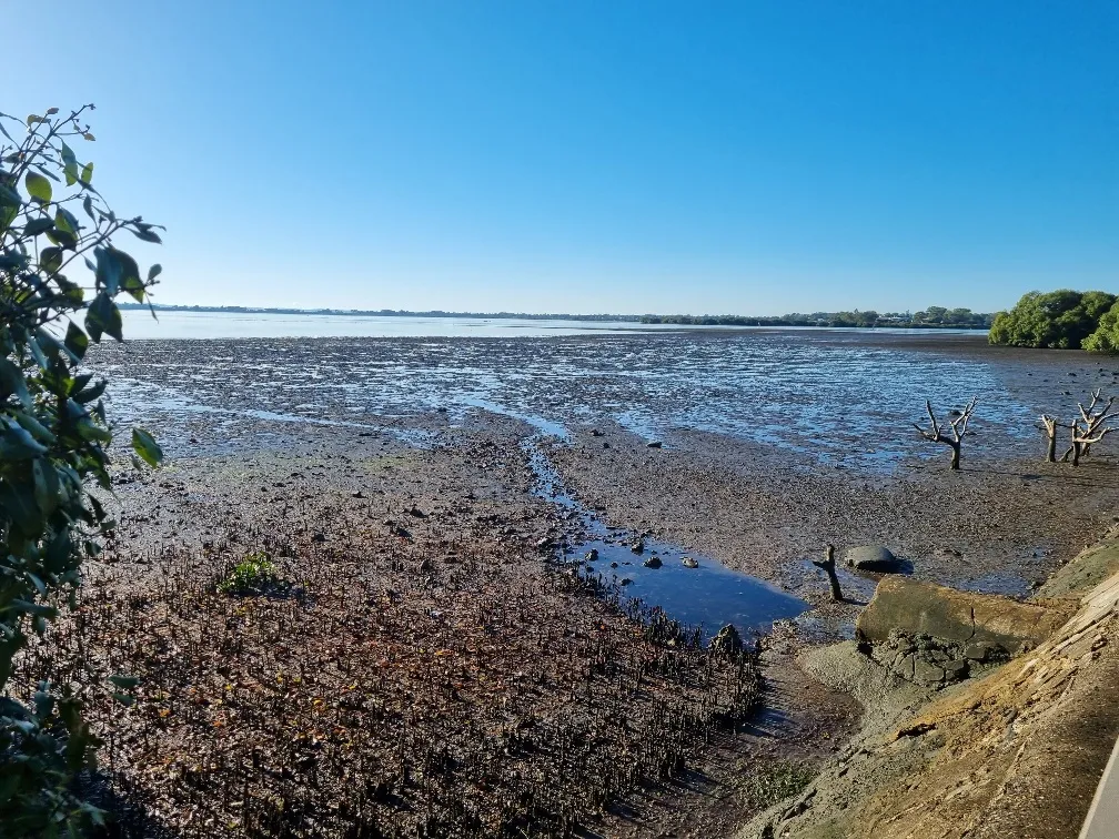 The tide was getting lower.